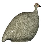Guinea Fowl - Pintade<br>Grey Speckled White